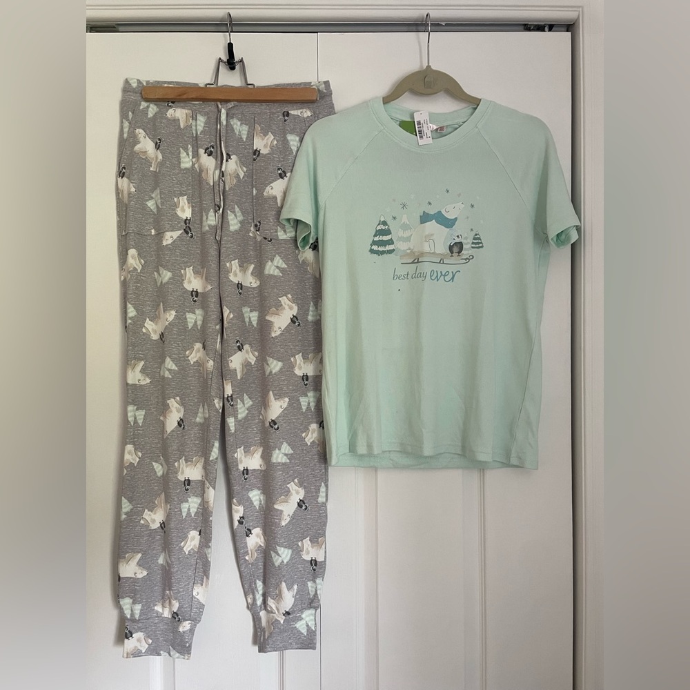 La Vie En Rose Mint and Gray Pajama Set